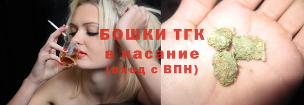 соль ск Гусь-Хрустальный