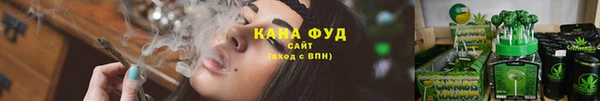 шишки Дмитриев