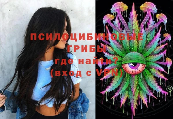 Альфа ПВП Гусиноозёрск