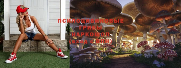 соль ск Гусь-Хрустальный