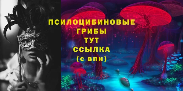 mdma Дмитровск