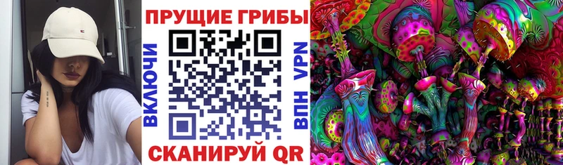 shop клад наркошоп Октябрьск Галлюциногенные грибы Psilocybine cubensis